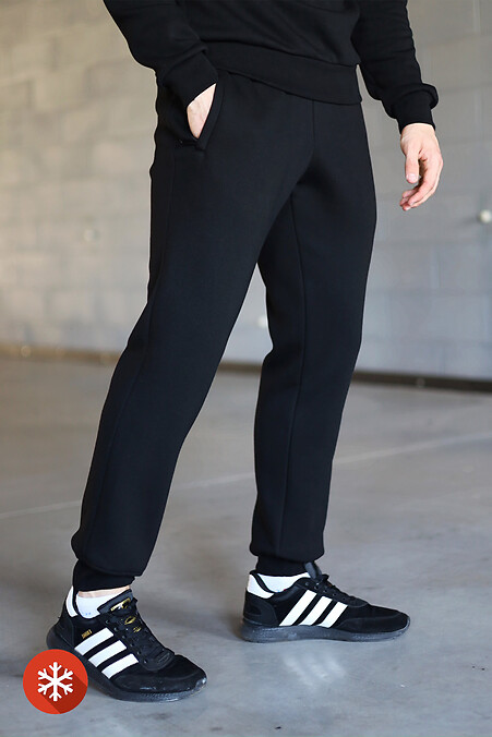 Утепленные брюки мужские KEVIN. Брюки, штаны. Цвет: черный. #3041240