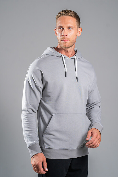 Univers Petlia 23 gray men's spring hoodie - #8034001