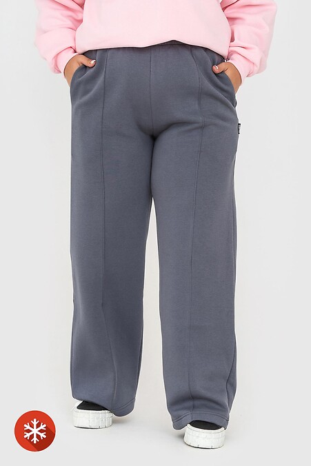 Утепленные брюки WENDI. Брюки, штаны. Цвет: серый. #3041034