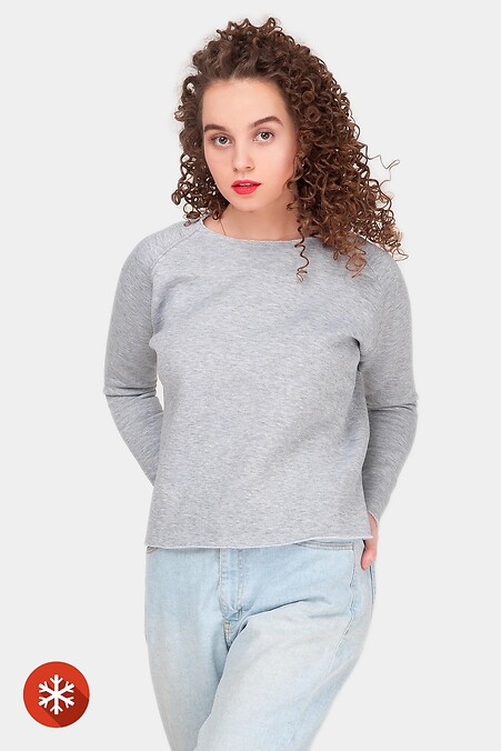 Sweatshirt with fleece. Sweatshirts, sweatshirts. Color: gray. #8035052
