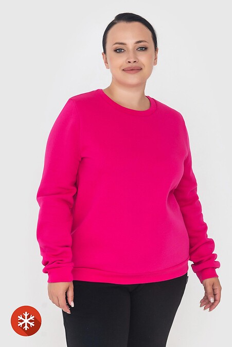 Isoliertes TODEY-Sweatshirt. Sportbekleidung. Farbe: rosa. #3041053