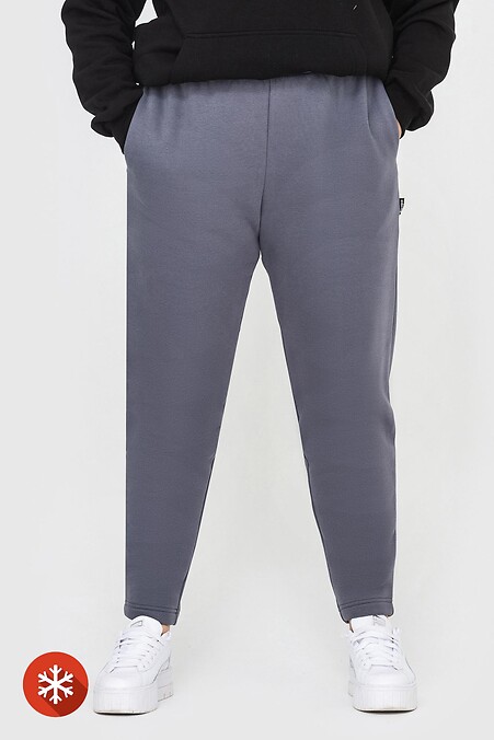 Утепленные брюки MIS. Брюки, штаны. Цвет: серый. #3041058