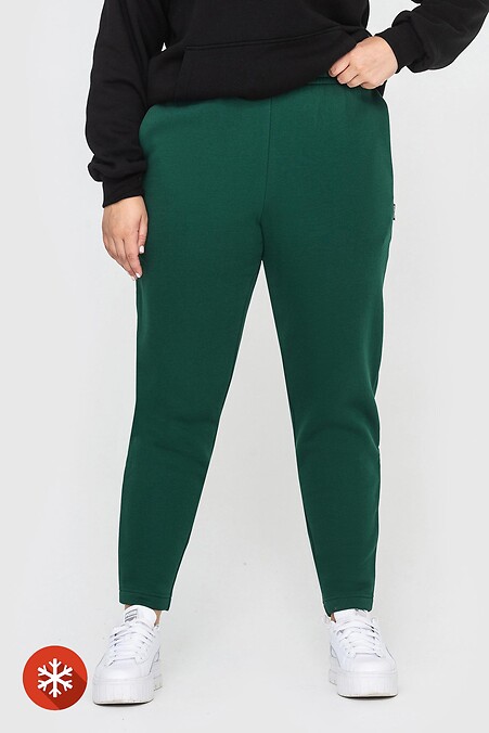 Утепленные брюки MIS. Брюки, штаны. Цвет: зеленый. #3041060