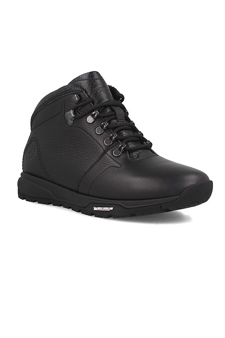 Men's boots. Boots. Color: black. #4203063