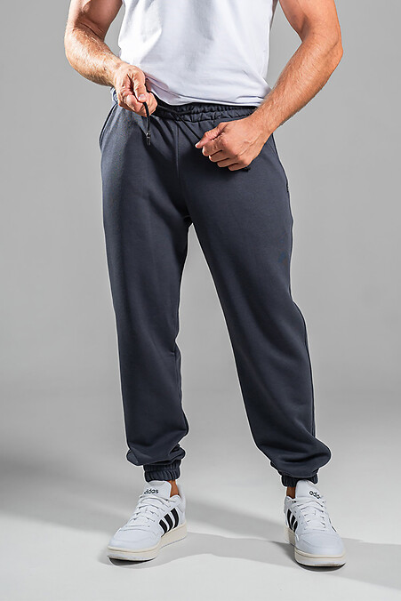 Męskie spodnie sportowe Jogger Petlia 23 Ash - #8034072