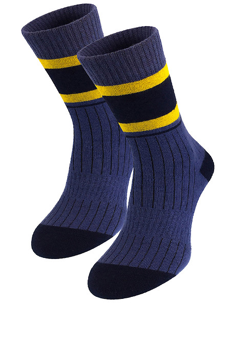 Синие теплые носки Bluen. Гольфы, носки. Цвет: синий. #2040083