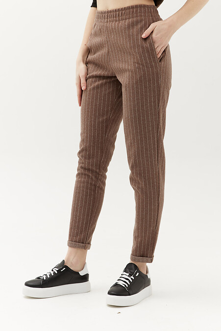 ENRI pants. Trousers, pants. Color: brown. #3040127
