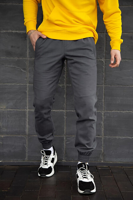 Men's joggers Deep. Trousers, pants. Color: gray. #8043149