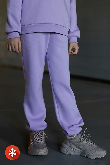 Pants BLER. Trousers, pants. Color: purple. #7770177