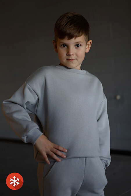 Insulated sweatshirt DARR. Sweatshirts, sweatshirts. Color: gray. #7770182