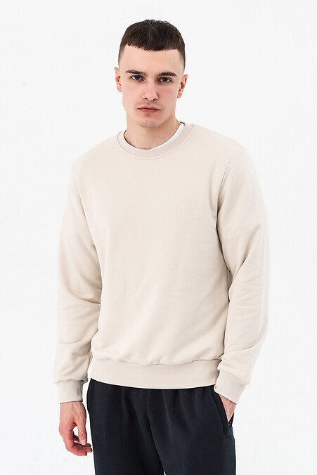 Sweatshirt ERWAN. Sweatshirts, sweatshirts. Color: beige. #3042201