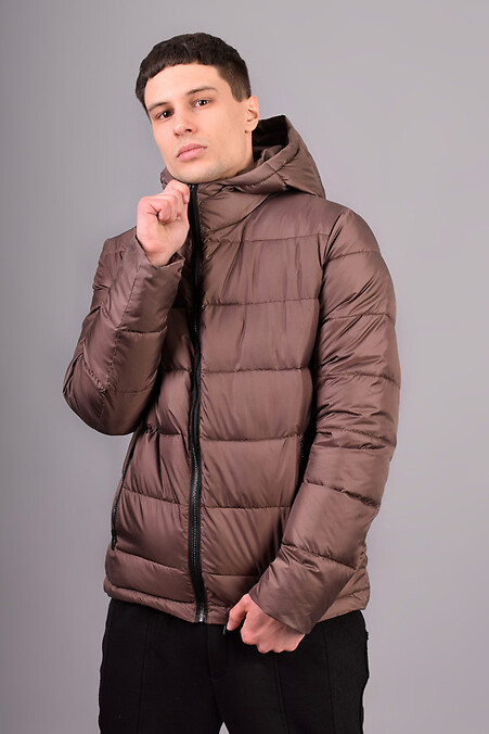 Rainbow 23 jacket. Outerwear. Color: brown. #8031236