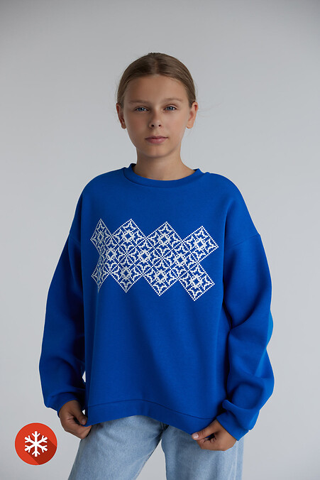 Sweatshirt DARR "Vyshyvanka" - #9001242
