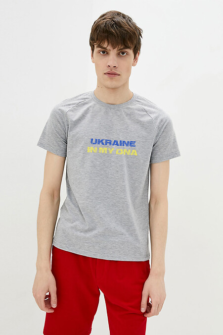 T-Shirt Ukraine in meiner DNA. T-Shirts. Farbe: grau. #9000243
