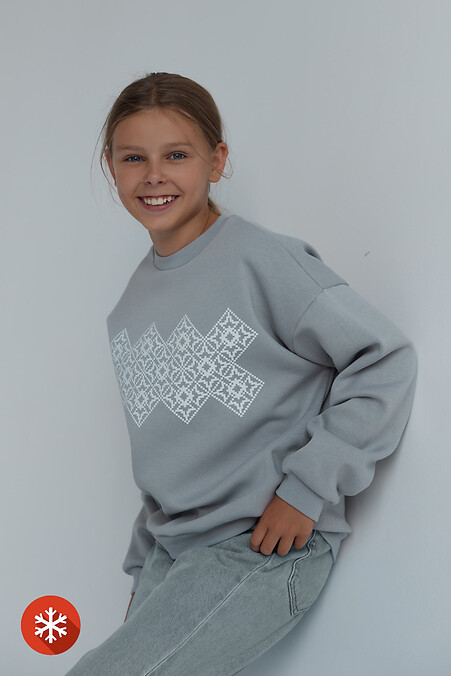 Sweatshirt DARR "Vyshyvanka" - #9001244