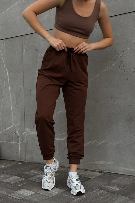Lina women's pants. Trousers, pants. Color: brown. #8031281