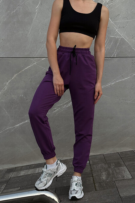 Lina women's pants. Trousers, pants. Color: purple. #8031284