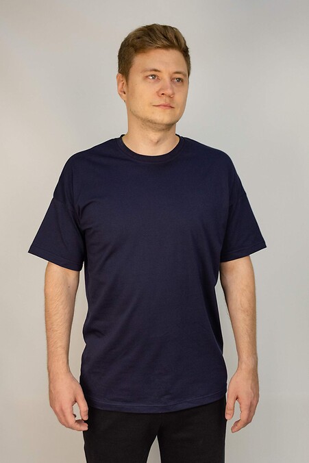 Męska koszulka. T-shirty. Kolor: niebieski. #8035292