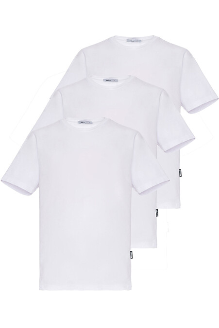 Комплект 3-х базовых футболок.. Футболки, майки. Цвет: белый. #9001389