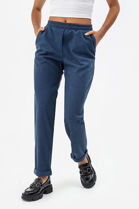 Spodnie DENDI-1. Spodnie. Kolor: niebieski. #3041394