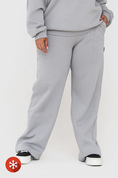Warm trousers WENDI. Trousers, pants. Color: gray. #3041422