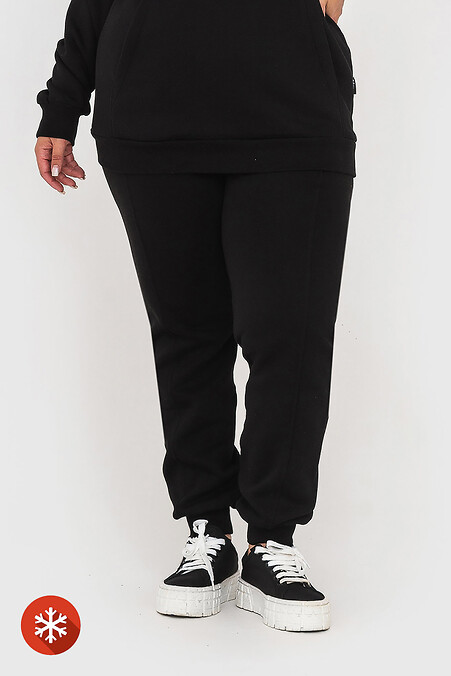 Insulated trousers RIDE-1. Trousers, pants. Color: black. #3041428