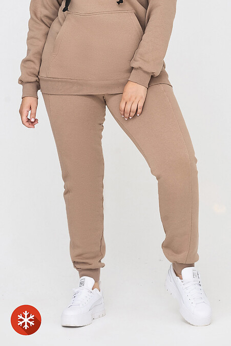 Insulated trousers RIDE-1. Trousers, pants. Color: beige. #3041432