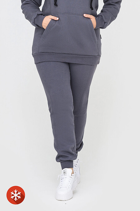 Insulated trousers RIDE-1. Trousers, pants. Color: gray. #3041434