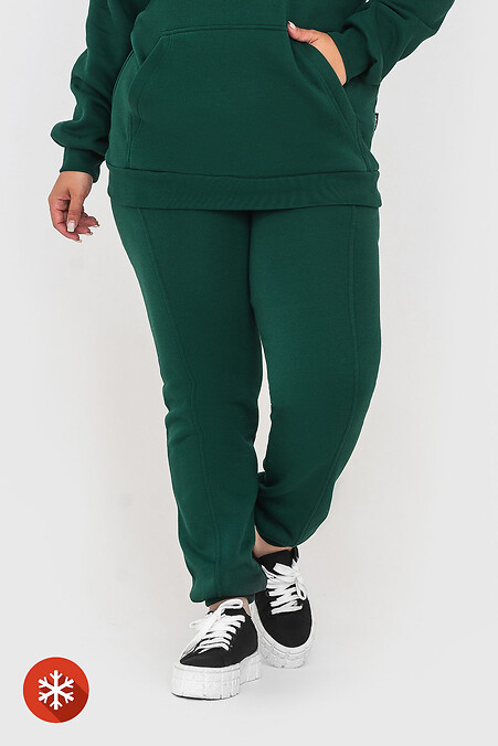 Insulated trousers RIDE-1. Trousers, pants. Color: green. #3041436