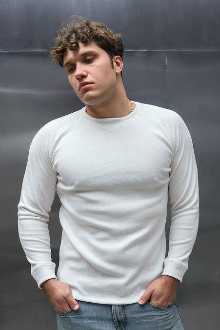 Светр чоловічий теплий джемпер трикотажний зимовий пуловер білого кольору - #8034483