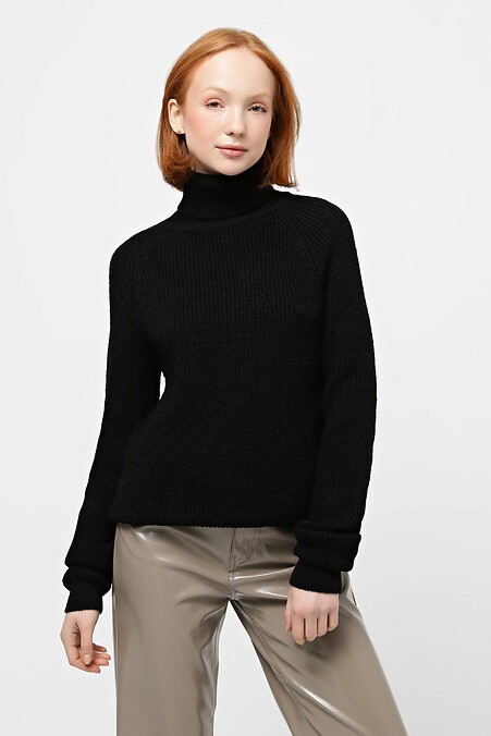 Black sweater. Jacken und Pullover. Farbe: das schwarze. #4038514
