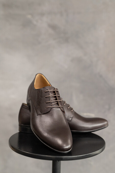 Male shoes. Shoes. Color: brown. #8018648