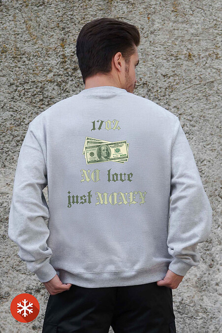 Męska ocieplana bluza polarowa z nadrukiem Dollar Gray - #8055704