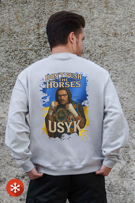 Męska ocieplana bluza polarowa z nadrukiem Dont Push The Horse Szary - #8055708