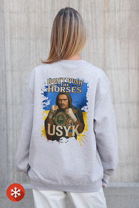 Жіночий Утеплений Оверсайз Світшот На Флісі З Принтом  Dont Push The Horse Gray - #8055709