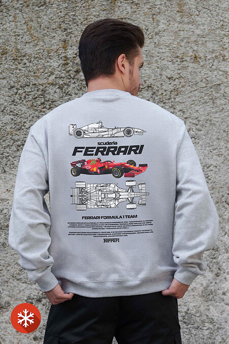 Męska ocieplana bluza polarowa z nadrukiem Ferrari Szary - #8055714
