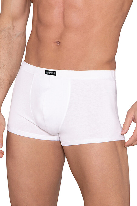 Männliche Unterwäsche. Unterhose. Farbe: weiß. #4028802