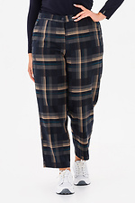 Штани RAIN-2 коричневий - #3043246