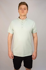 Men's polo shirt - #8035302