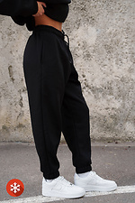 Жіночі Теплі Спортивні Штани Джогери На Флісі Rage Black - #8055478