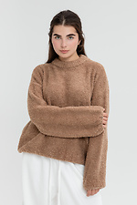 Hellbrauner Teddy-Pullover - #4038986